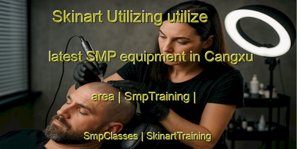 Skinart Utilizing utilize latest SMP equipment in Cangxu area | SmpTraining | SmpClasses | SkinartTraining-China